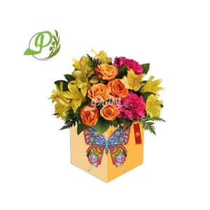 BOX "Corazón de Primavera"